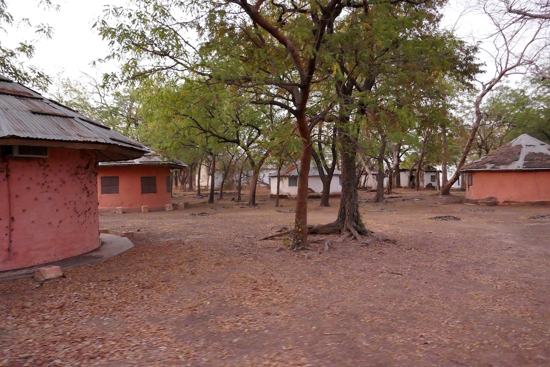 Parc national de la Pendjari-Campement (1)
