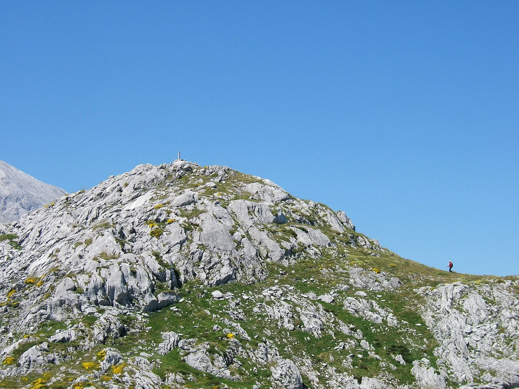 CabezaLaMesa
