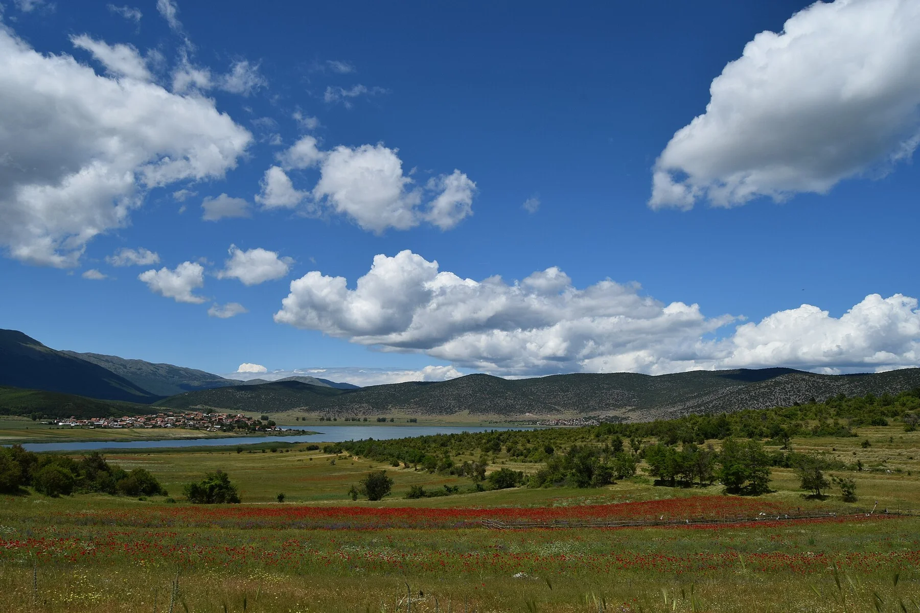 Prespa Lakes — view 5