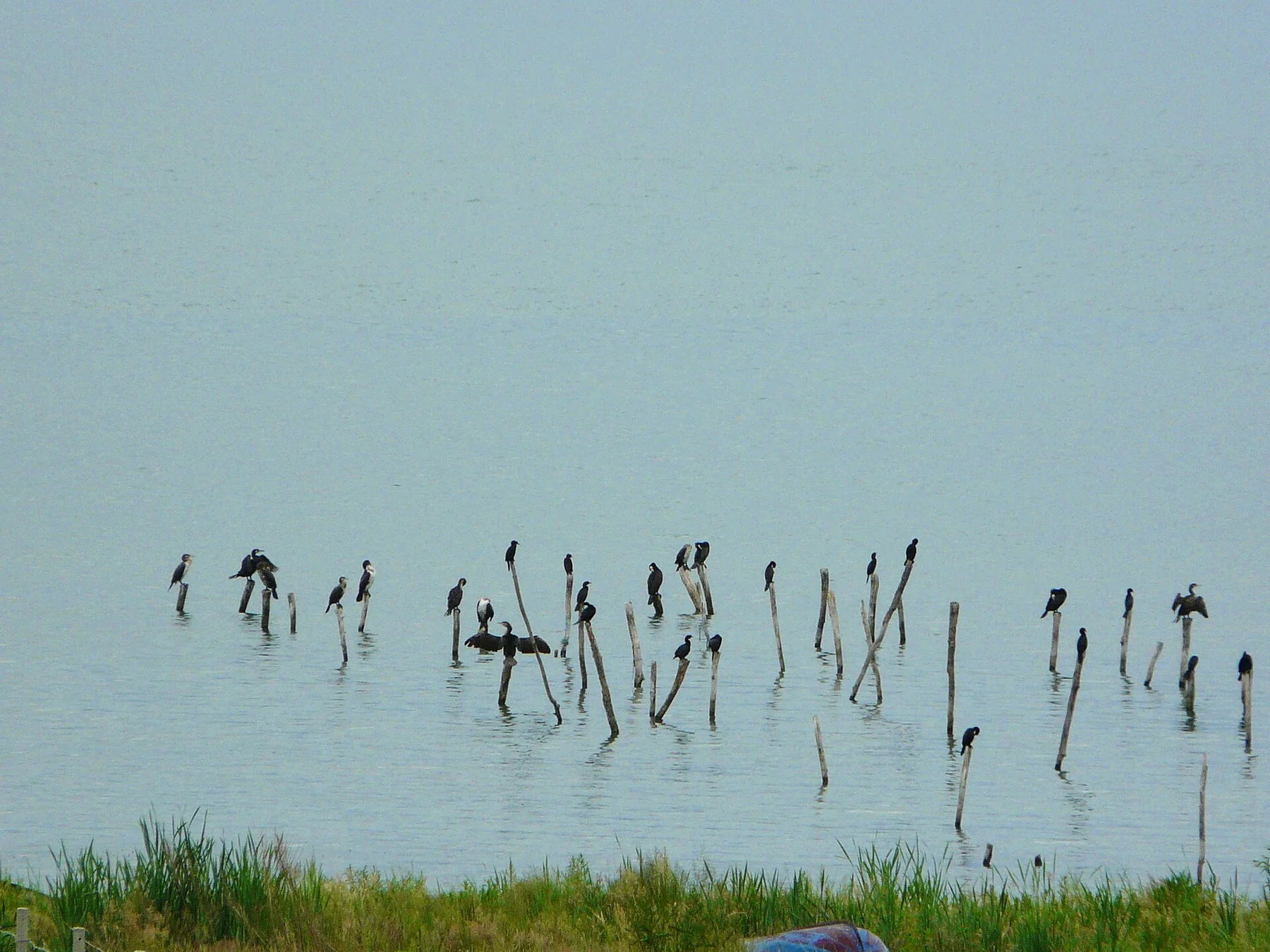 Prespa Lakes - view 12