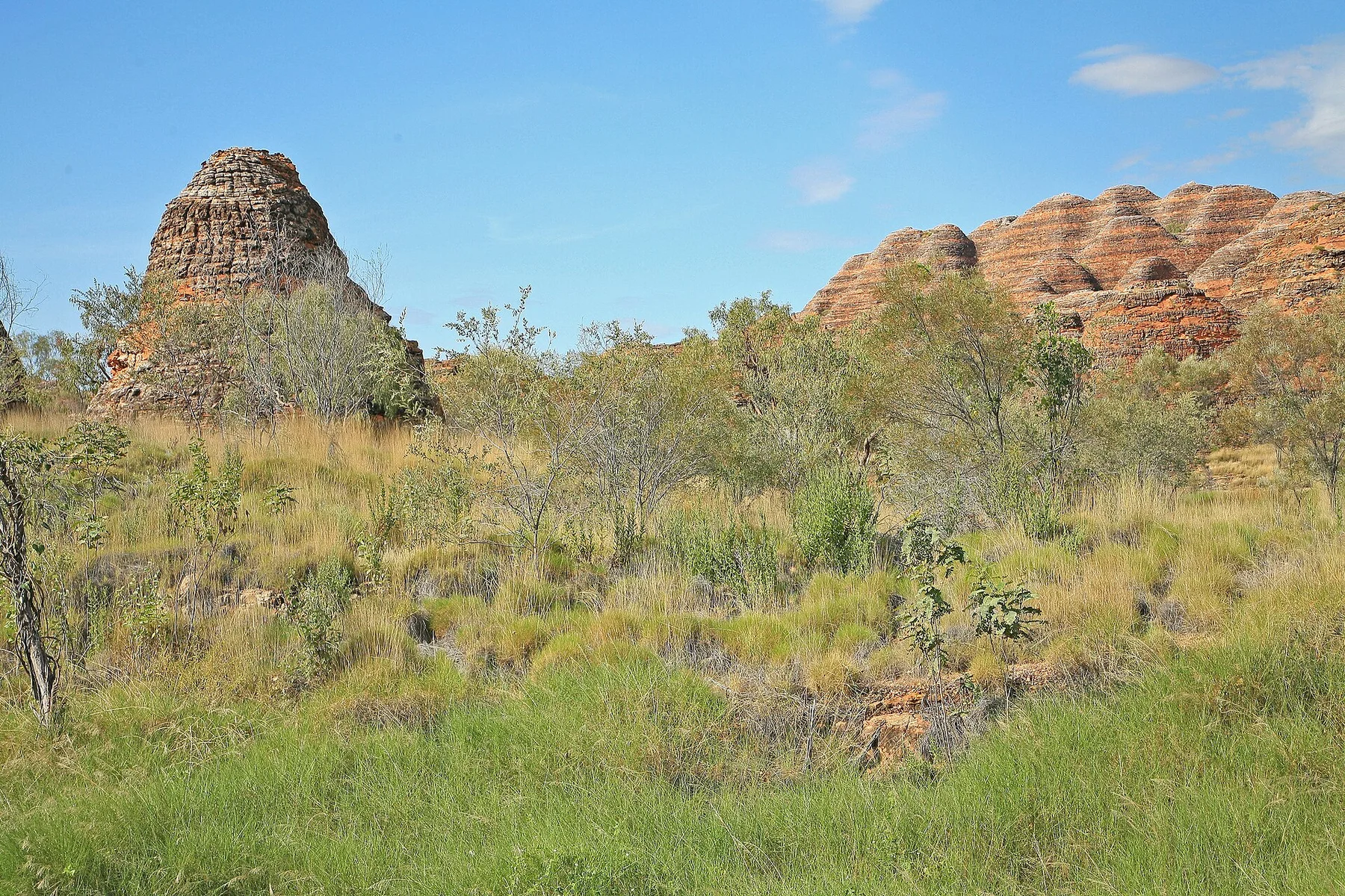 00 2176 Purnululu-Nationalpark - Western Australia