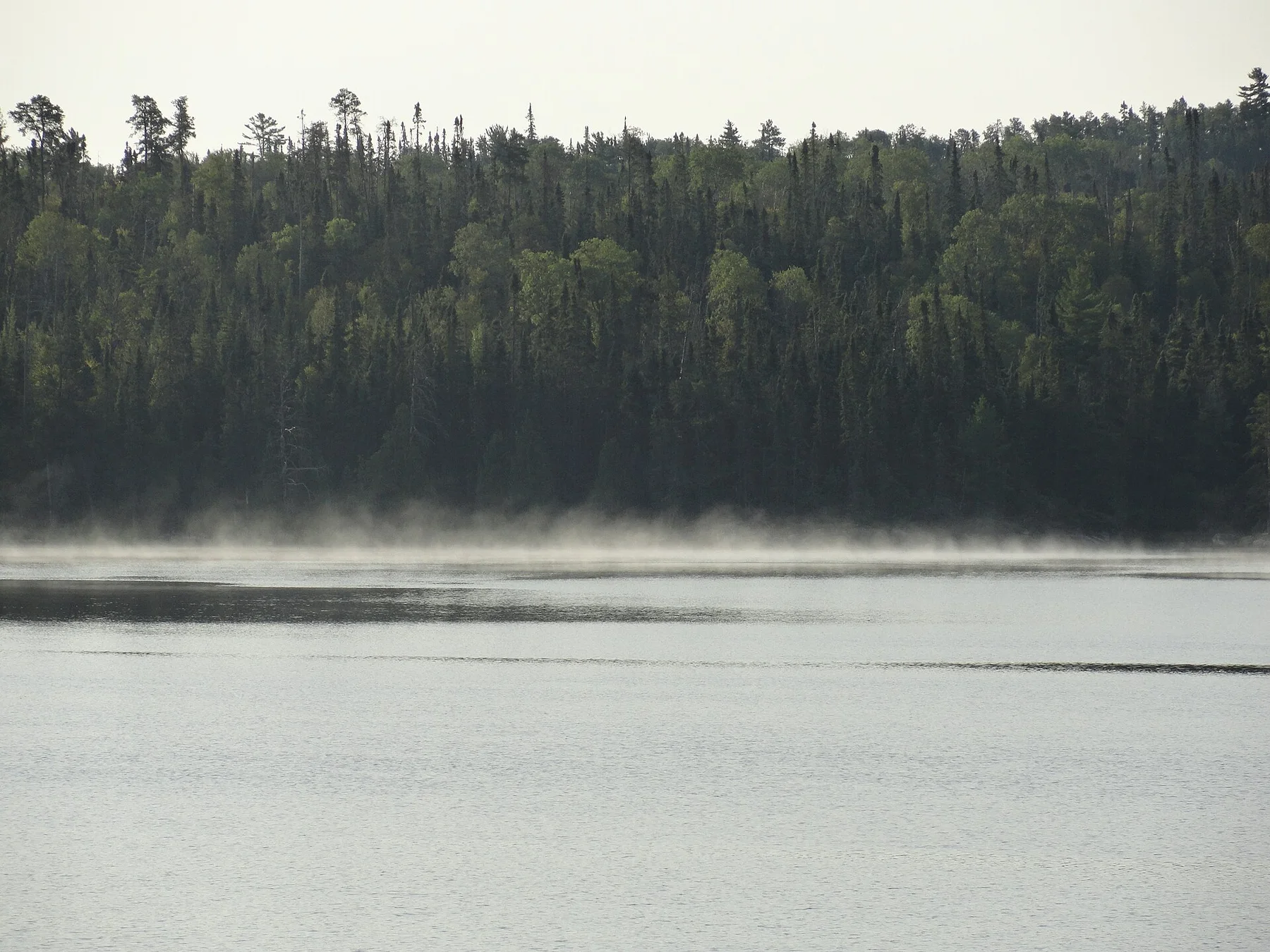 Early Morning Fog on Keats