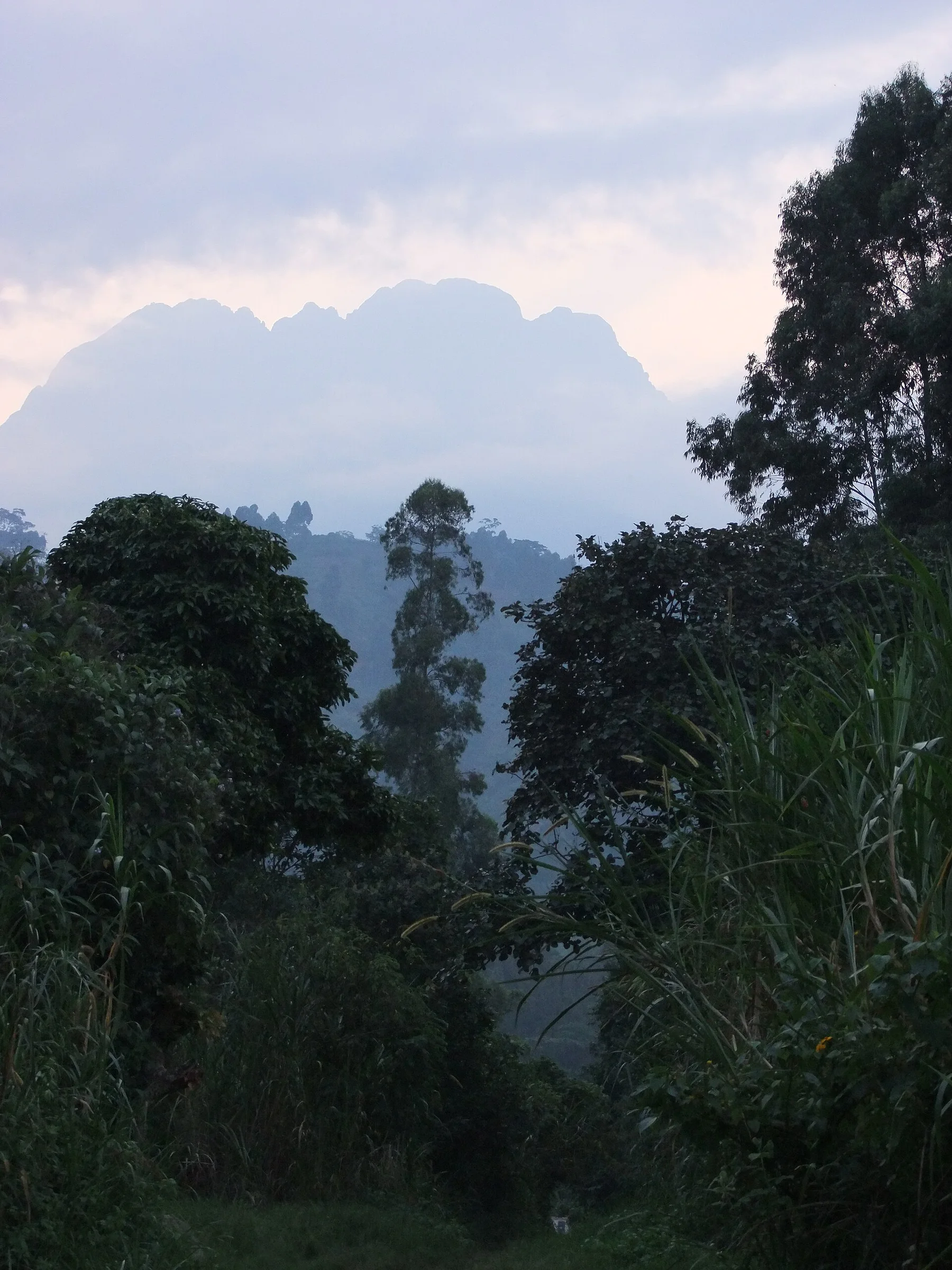 Rwenzori Mountains — view 3