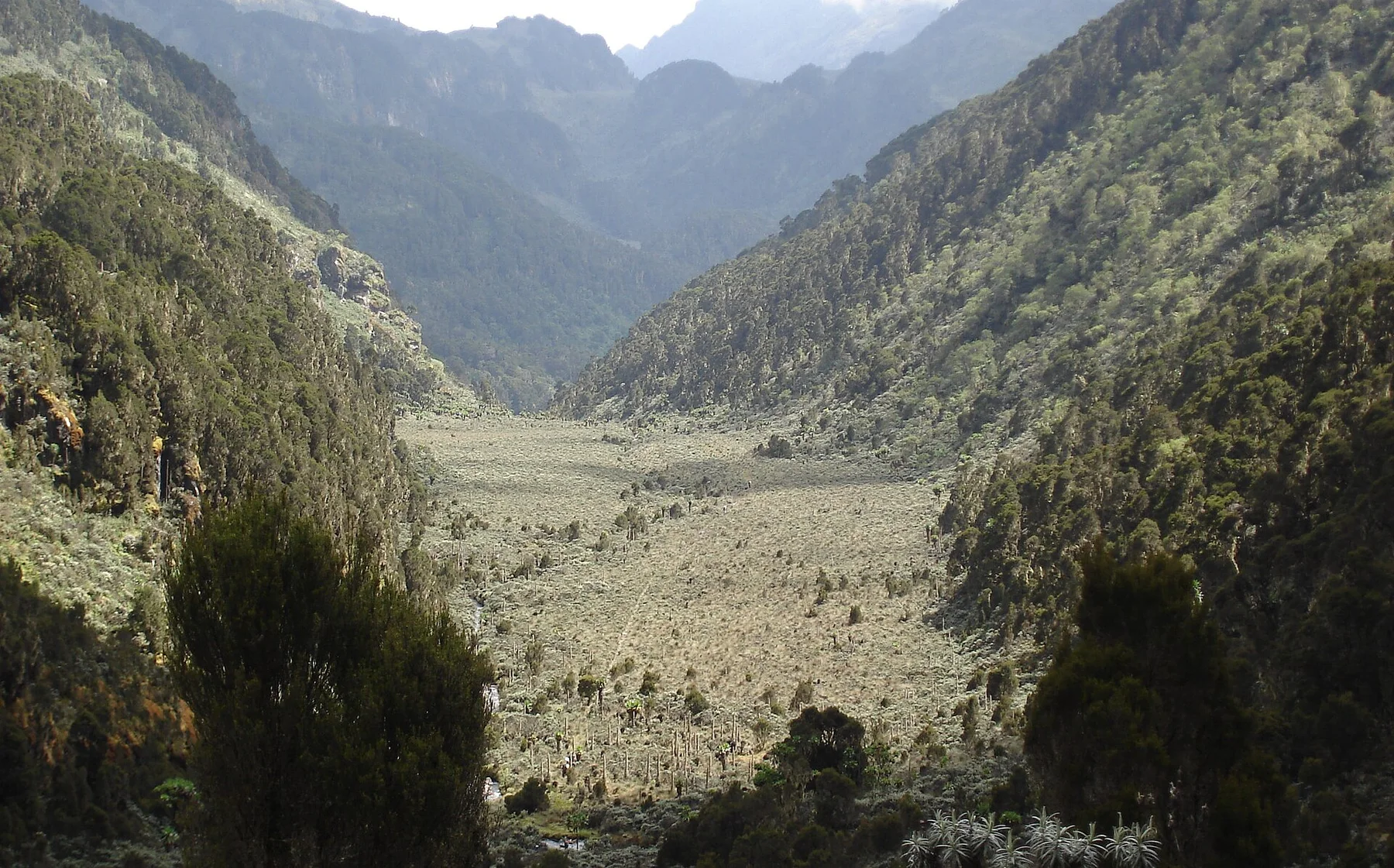 Rwenzori Mountains — view 4