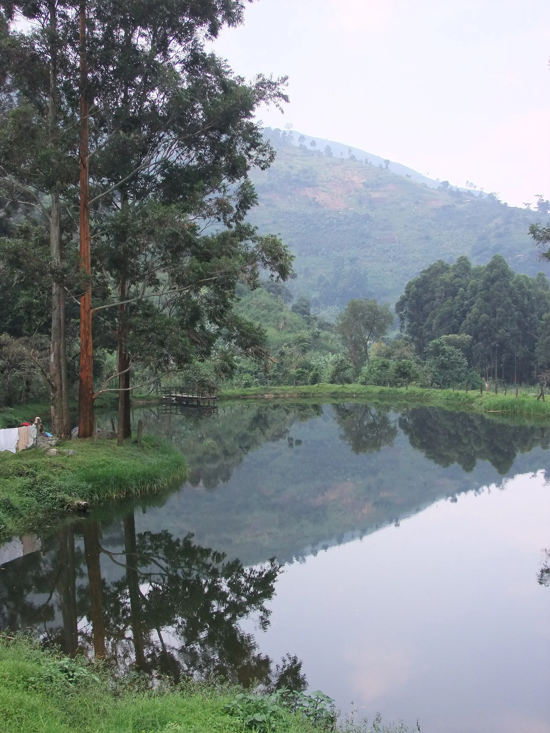 Rwenzori Mountains - view 12