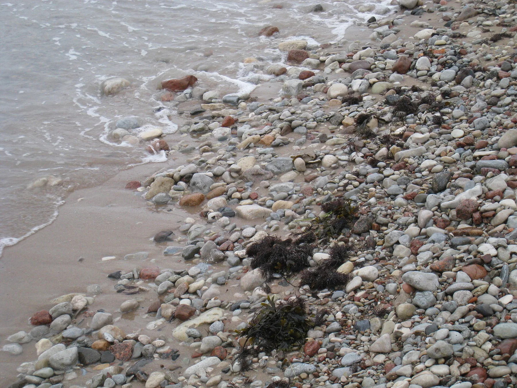 Saaremaa - view 14