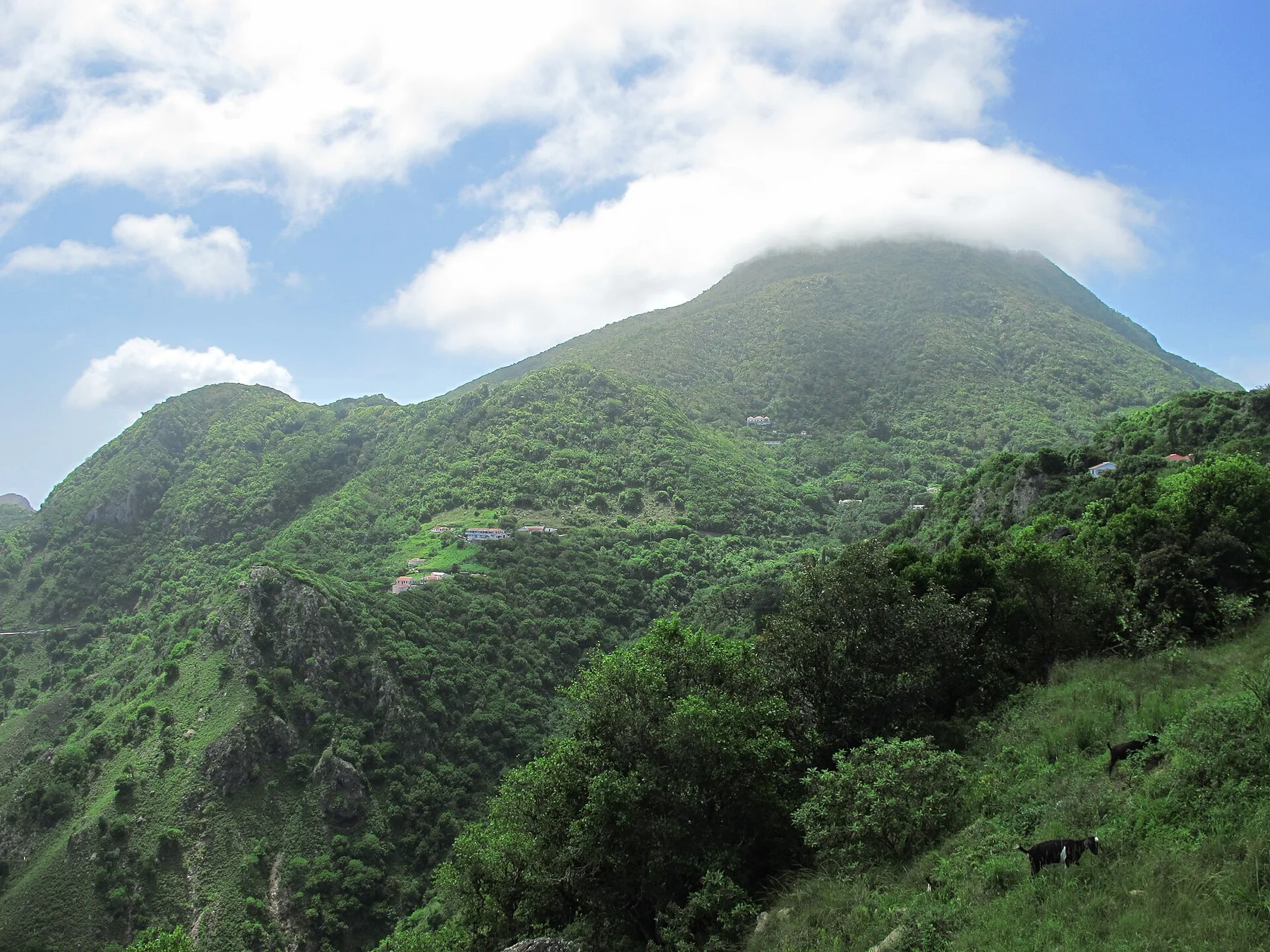 Saba1807-Hawks-Mount Scenery