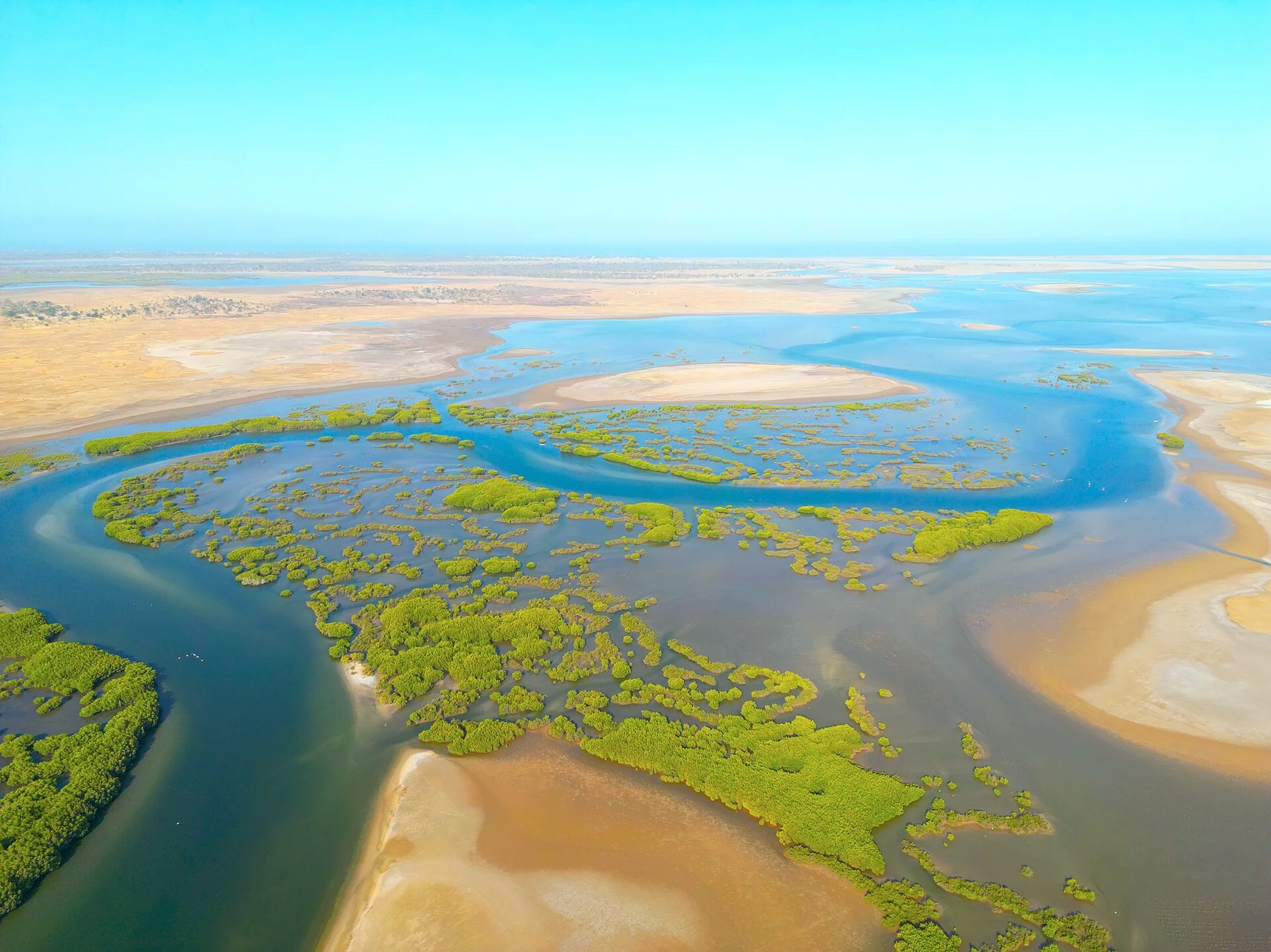 L'un des plus beaux paysage du Sénégal, Sine Saloum 03