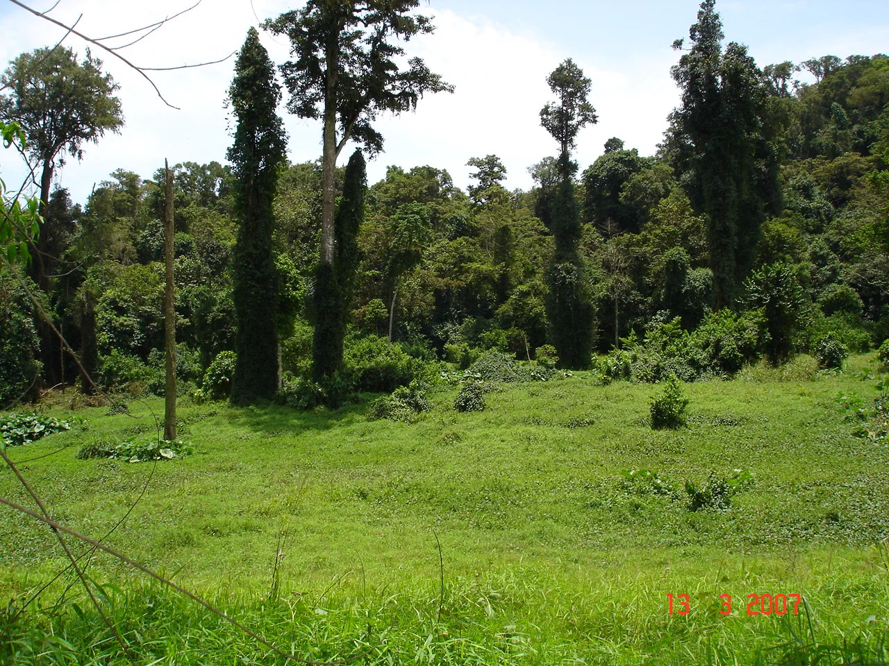 Sao Tome — view 4