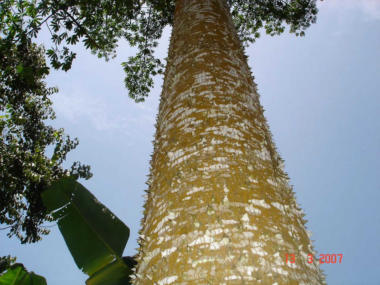 Sao Tome — view 5