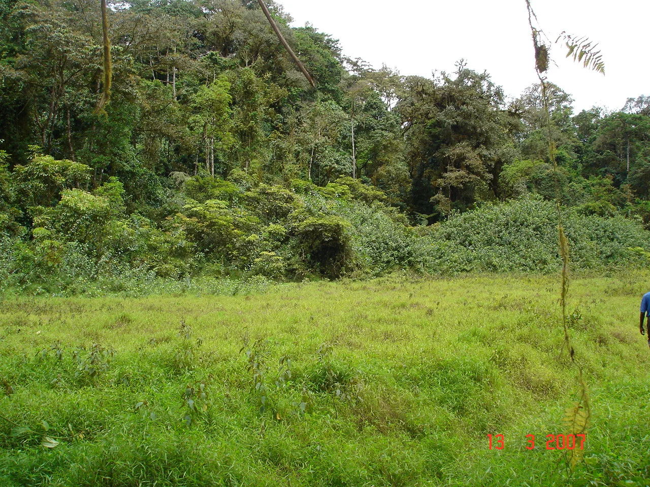 Sao Tome - view 10
