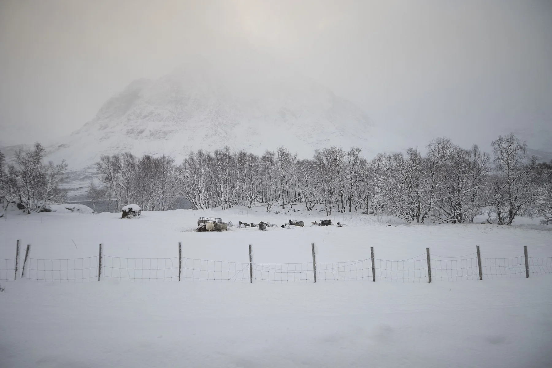 Norvegia-2024-N-1000000-C-1000000-C-1201018 01