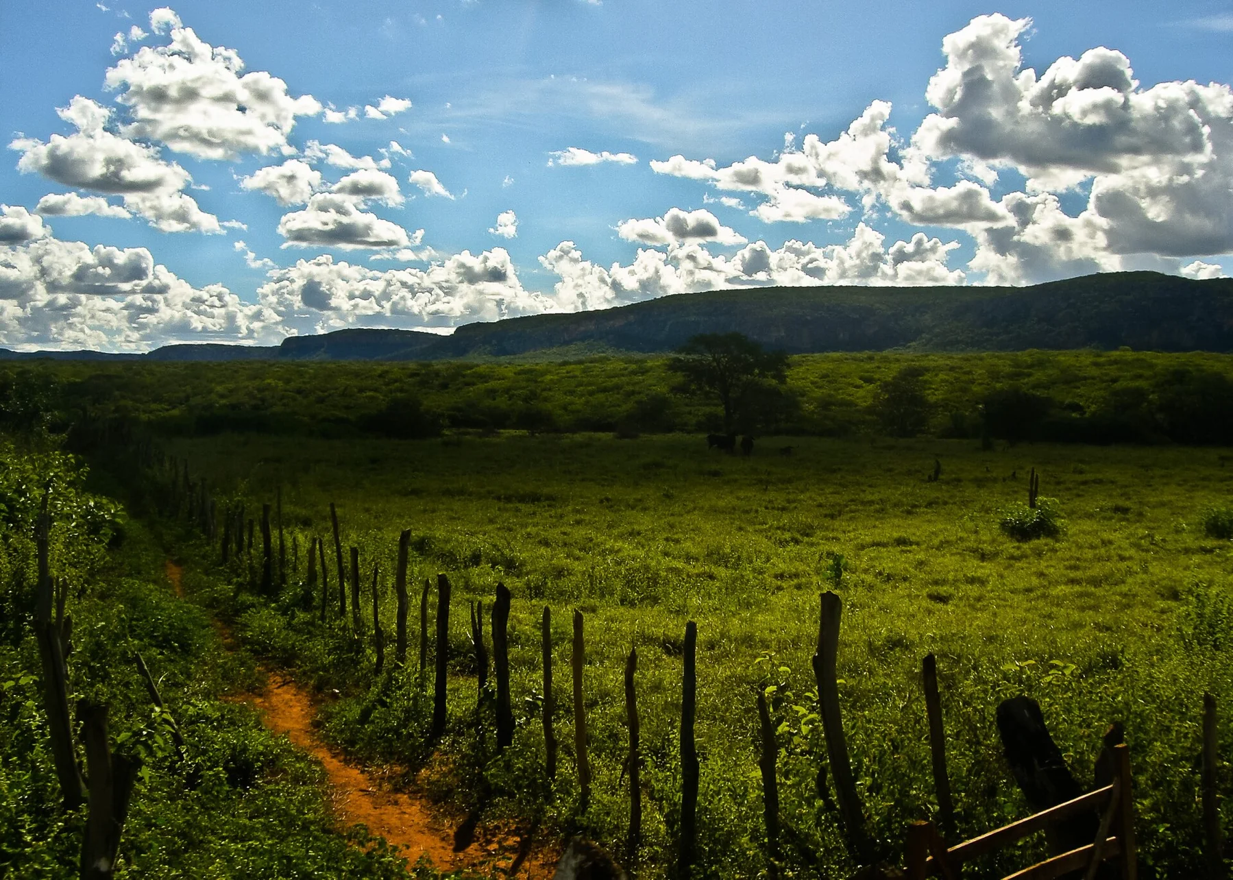 Caminhos para Serra da Capivara