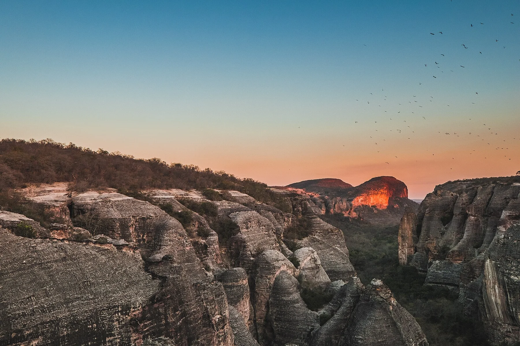 Serra da Capivara - view 11