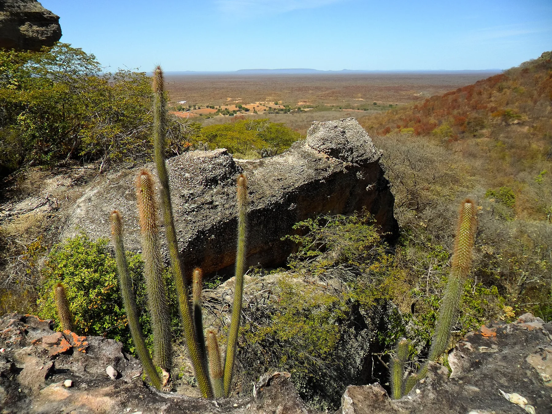 Serra da Capivara - view 13