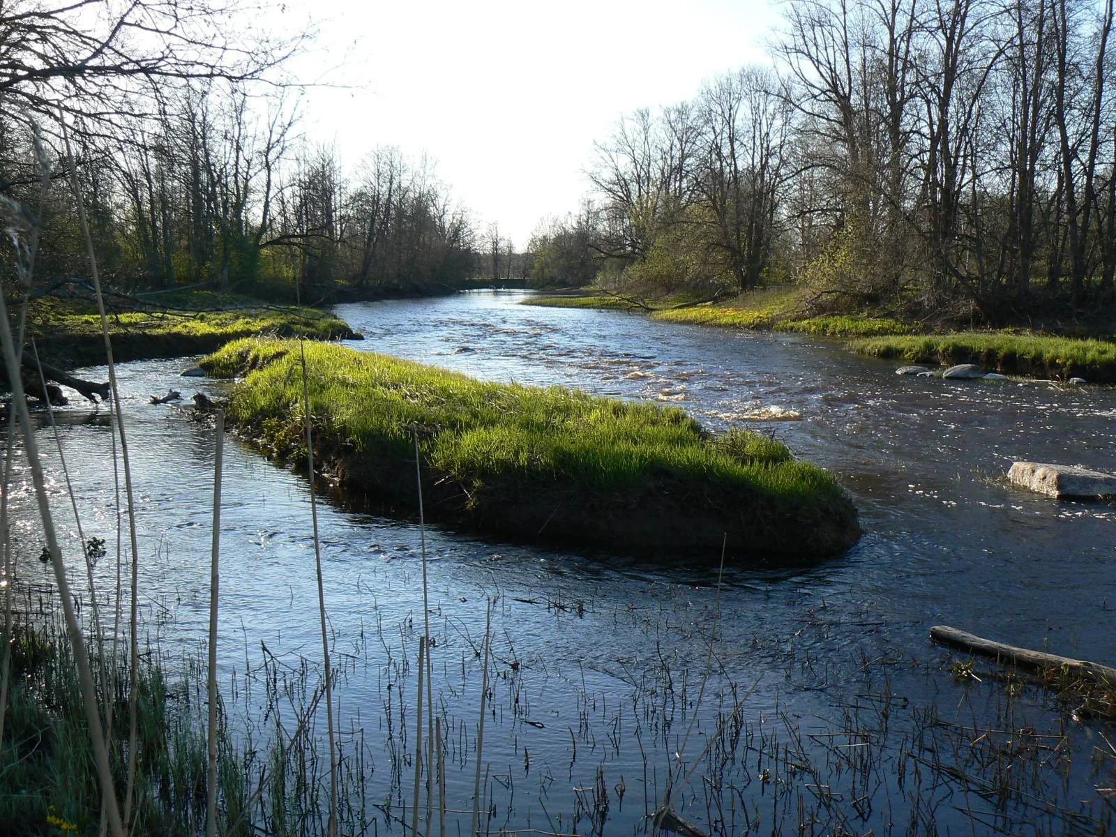 Soomaa — view 6