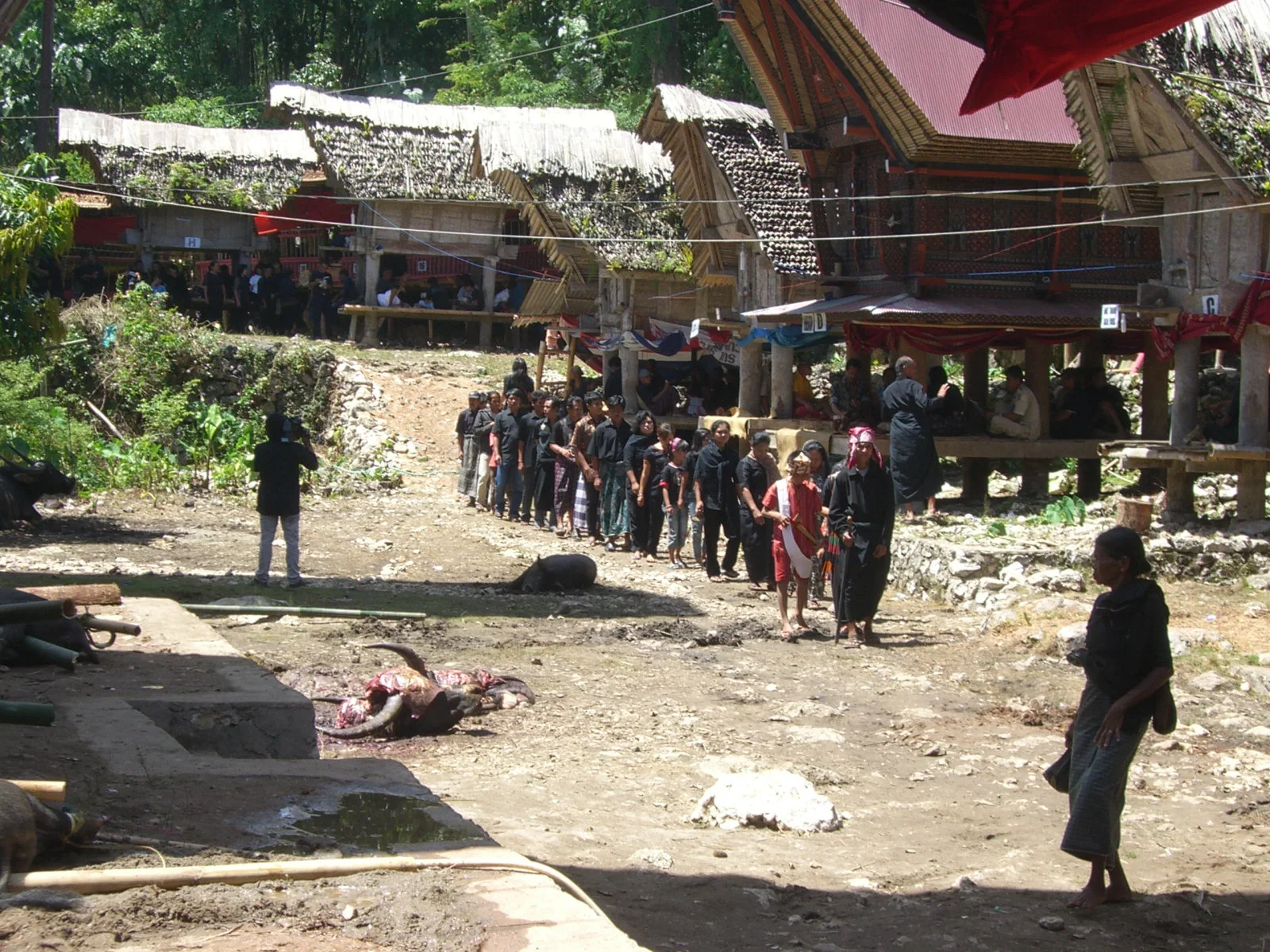 Tana Toraja - vedere 7