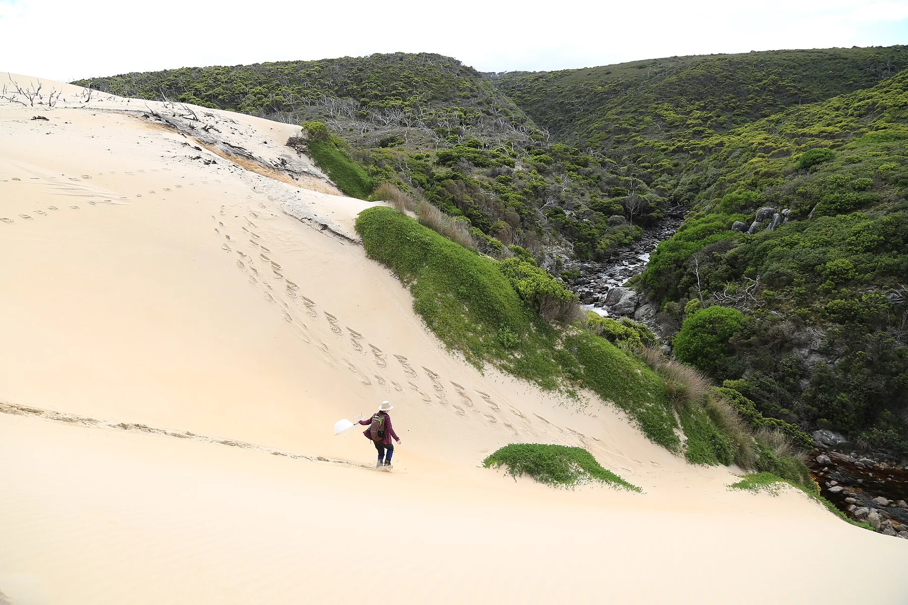 Running down the dunes