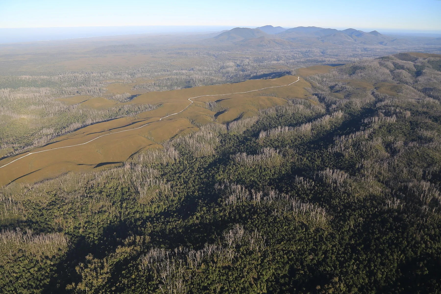 Tarkine - view 11