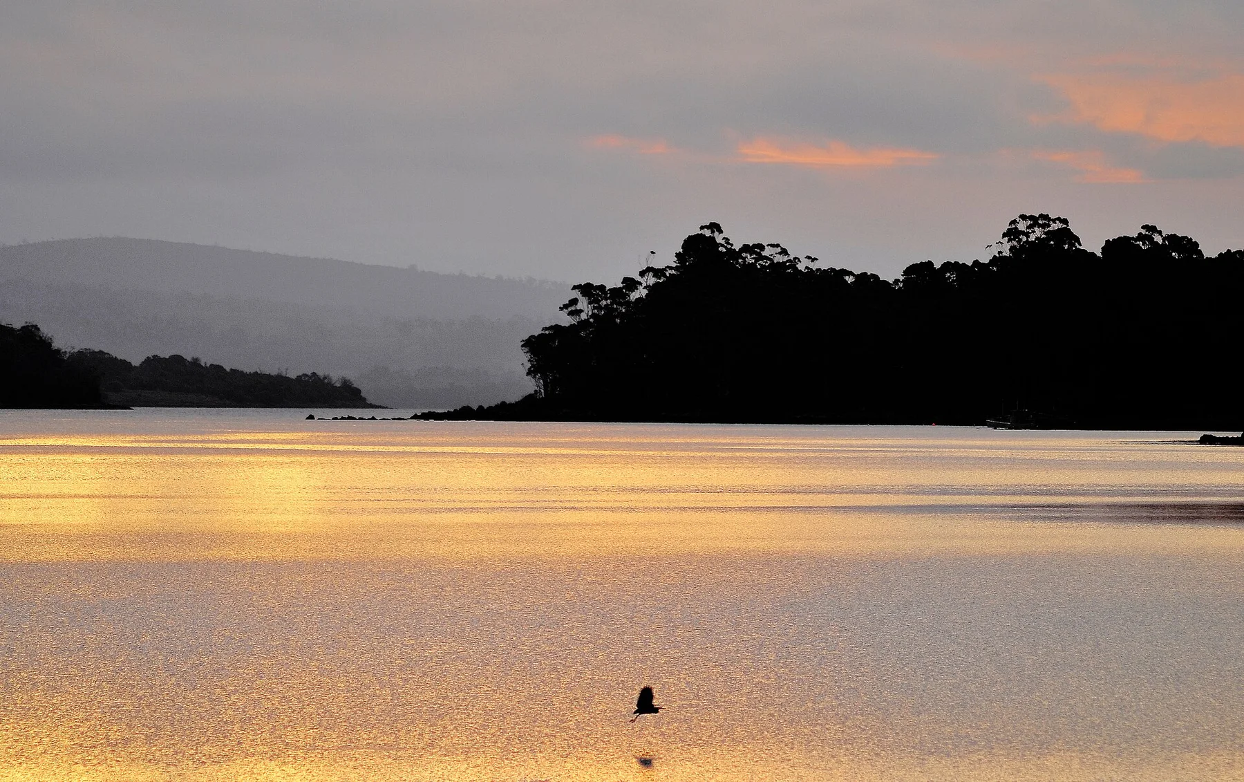Península de Tasman 6