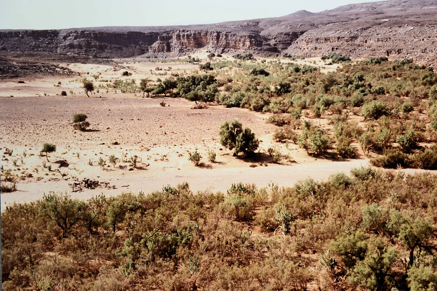 Tassili n'Ajjer - view 10