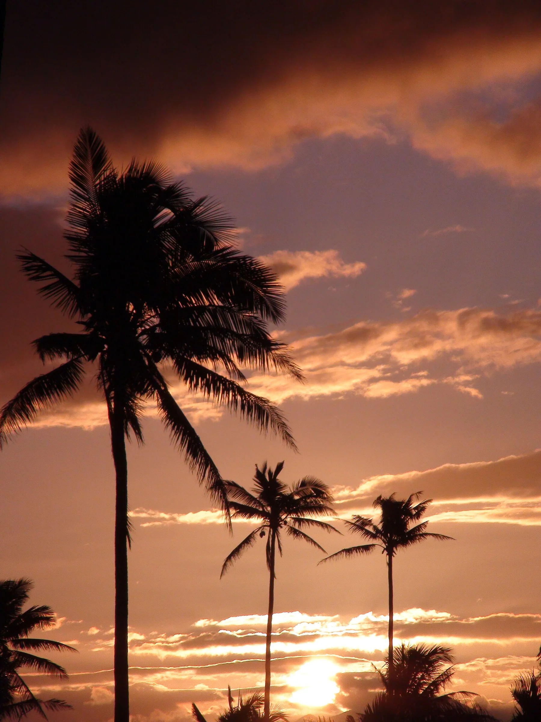 Taveuni - view 7