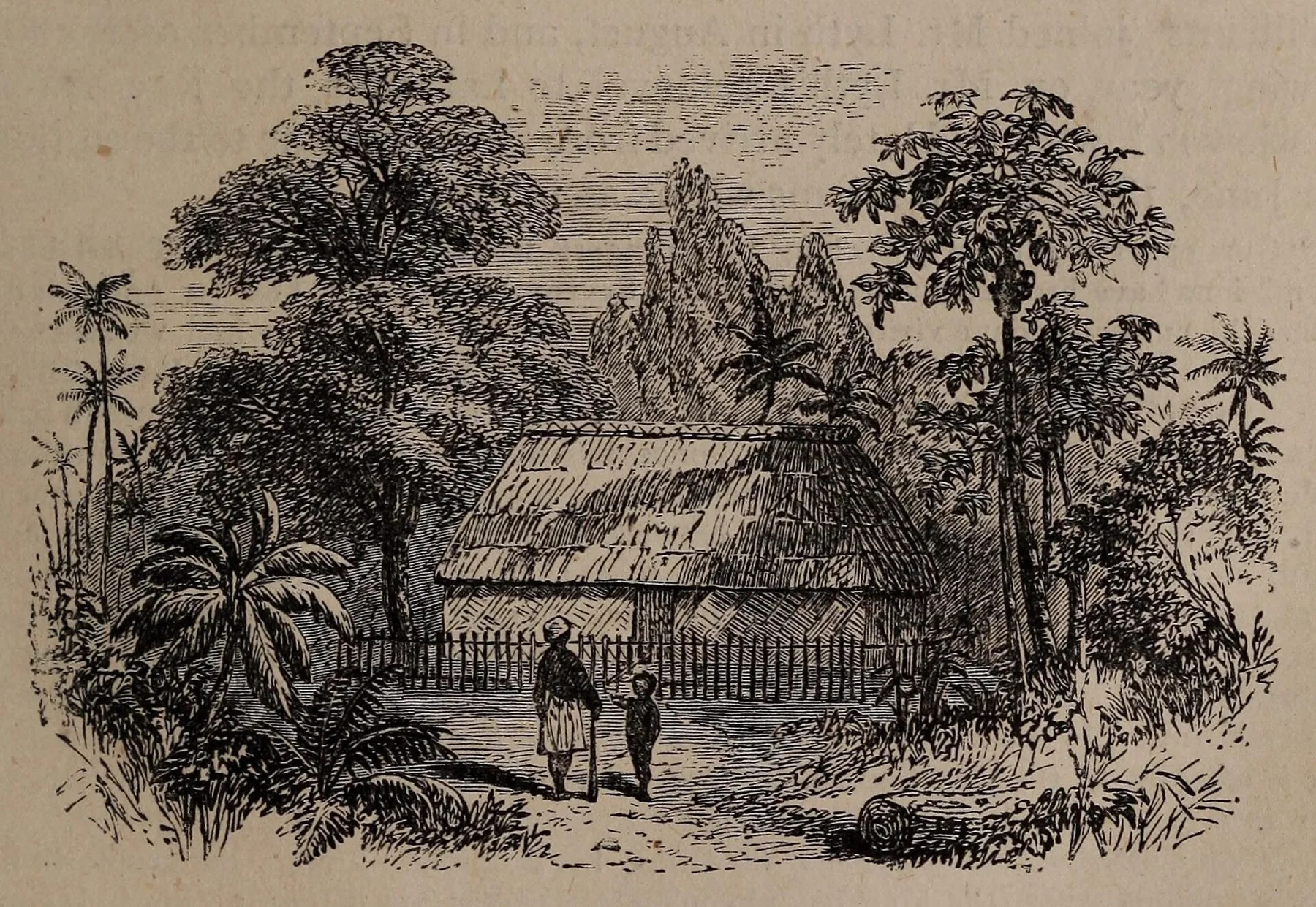 Taveuni — view 5
