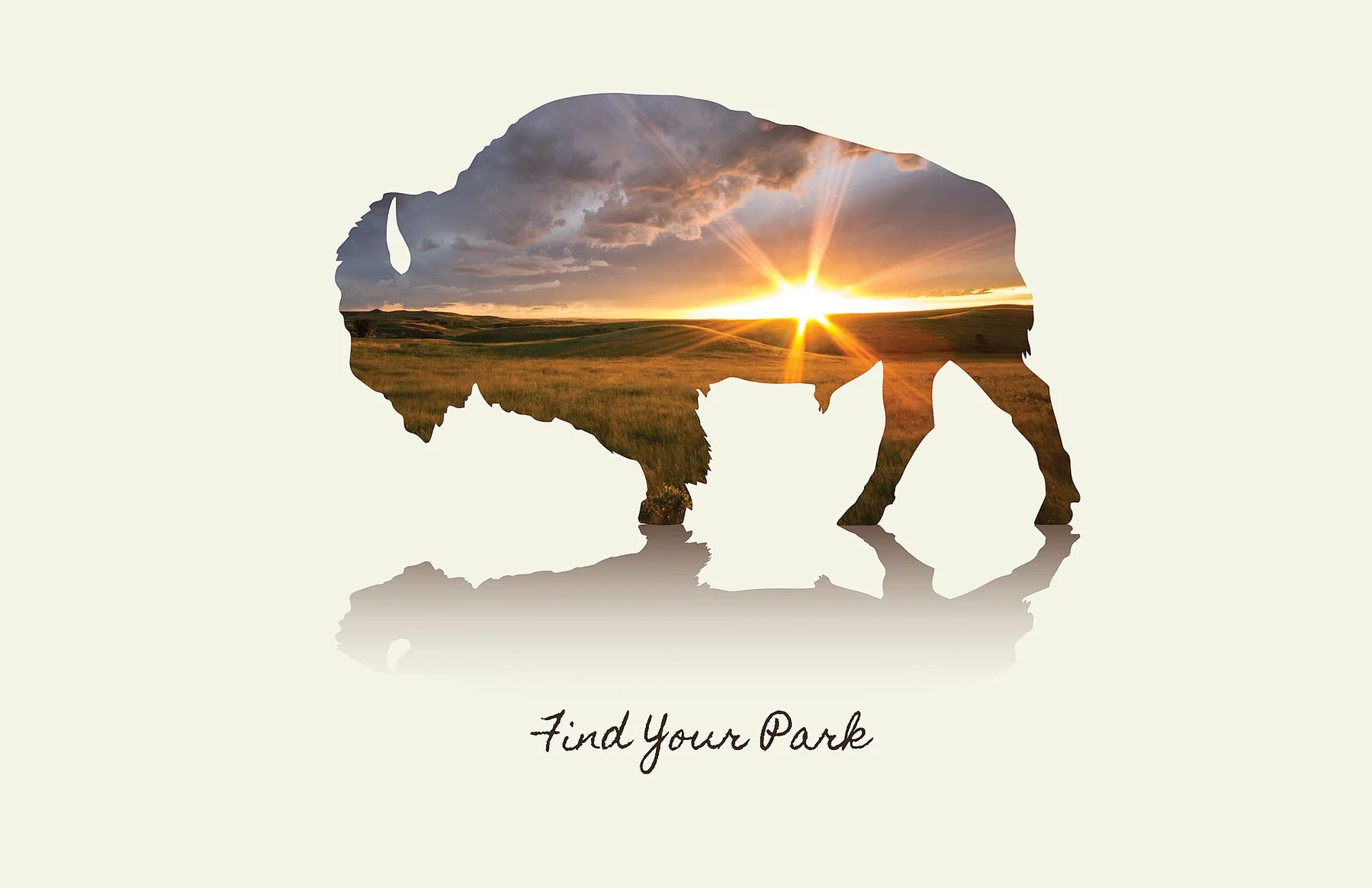 Bison image with sunset FROM Theodore Roosevelt National Park. (edd622ac-1dd8-b71b-0b5d-a4b0ab217825)