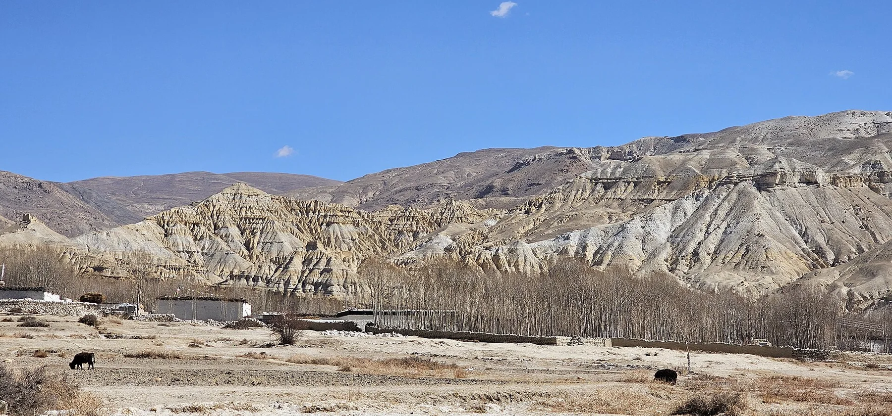 Upper Mustang - view 12