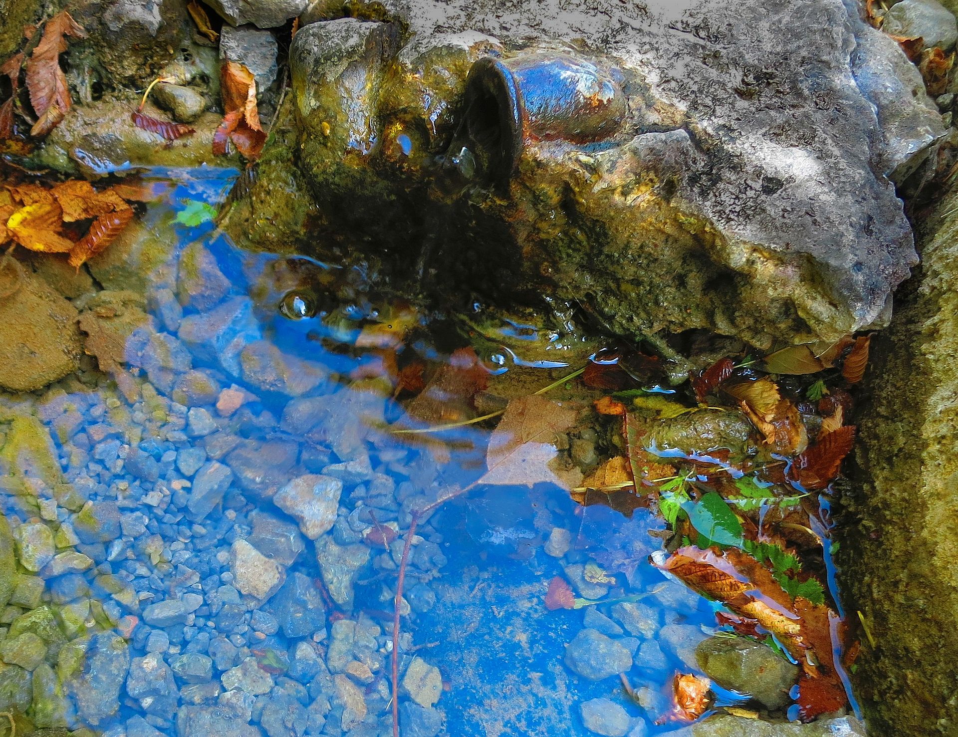 Little life-saver in Velebit Mountains