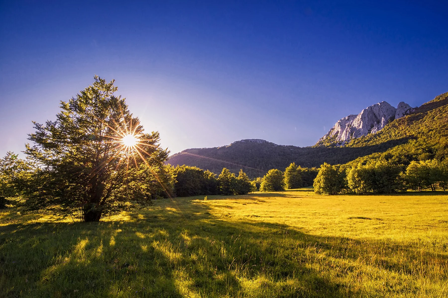 Fields of Velebit